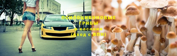 прущие грибы Алексин