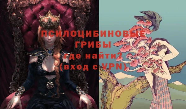 гидра Алексеевка