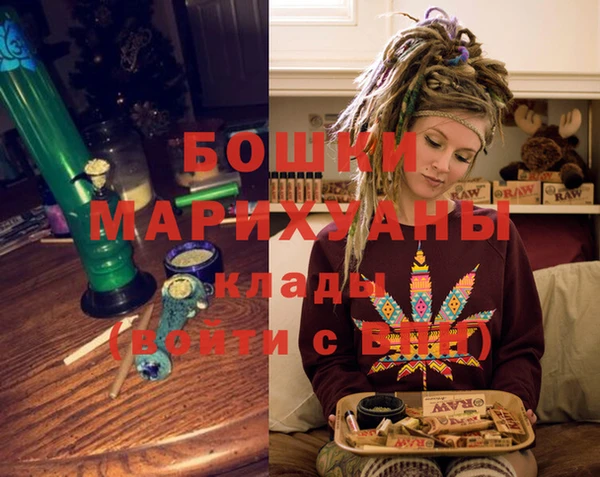 гидра Алексеевка
