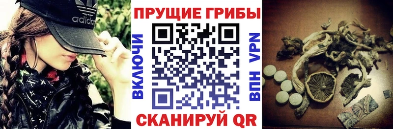 купить  цена  Богданович  Галлюциногенные грибы мицелий 