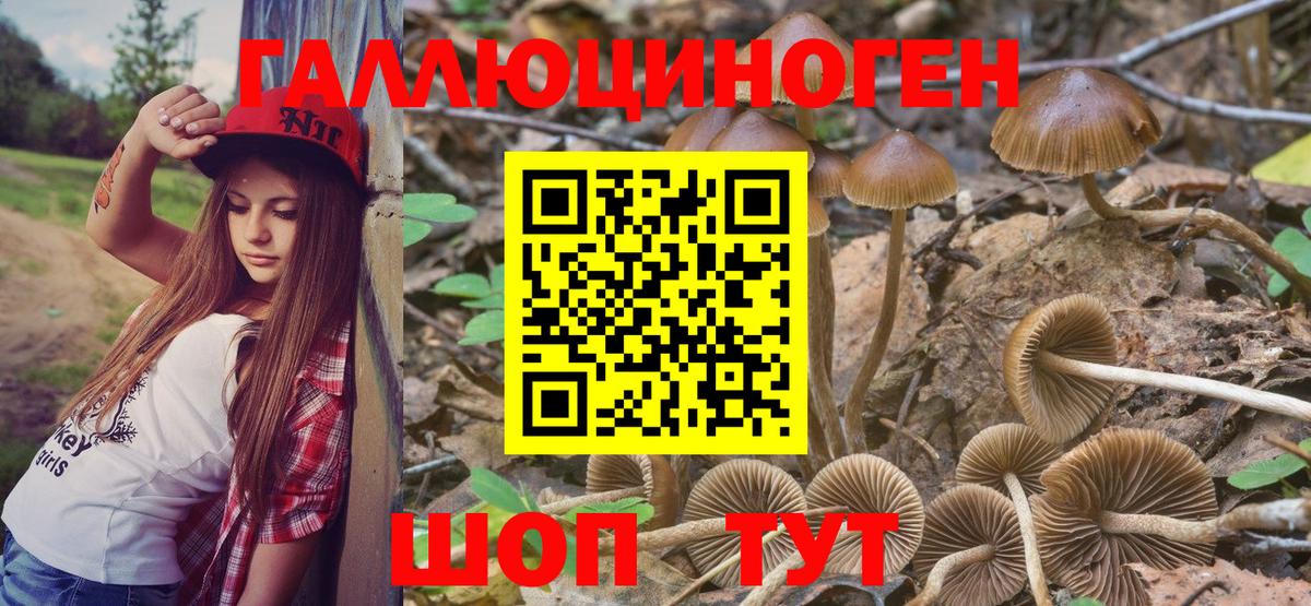 Галлюциногенные грибы ЛСД Богданович