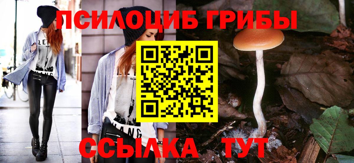 Псилоцибиновые грибы ЛСД  Вход с VPN  Богданович 