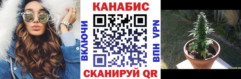 цены   Богданович  Шишки марихуана Ganja 